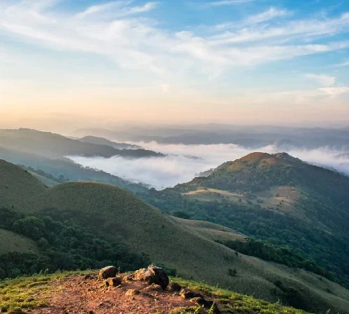 Munnar, Thekkady & Alleppey