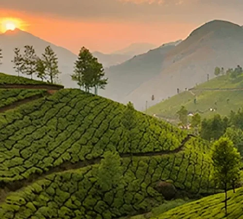 Complete Kerala Tour